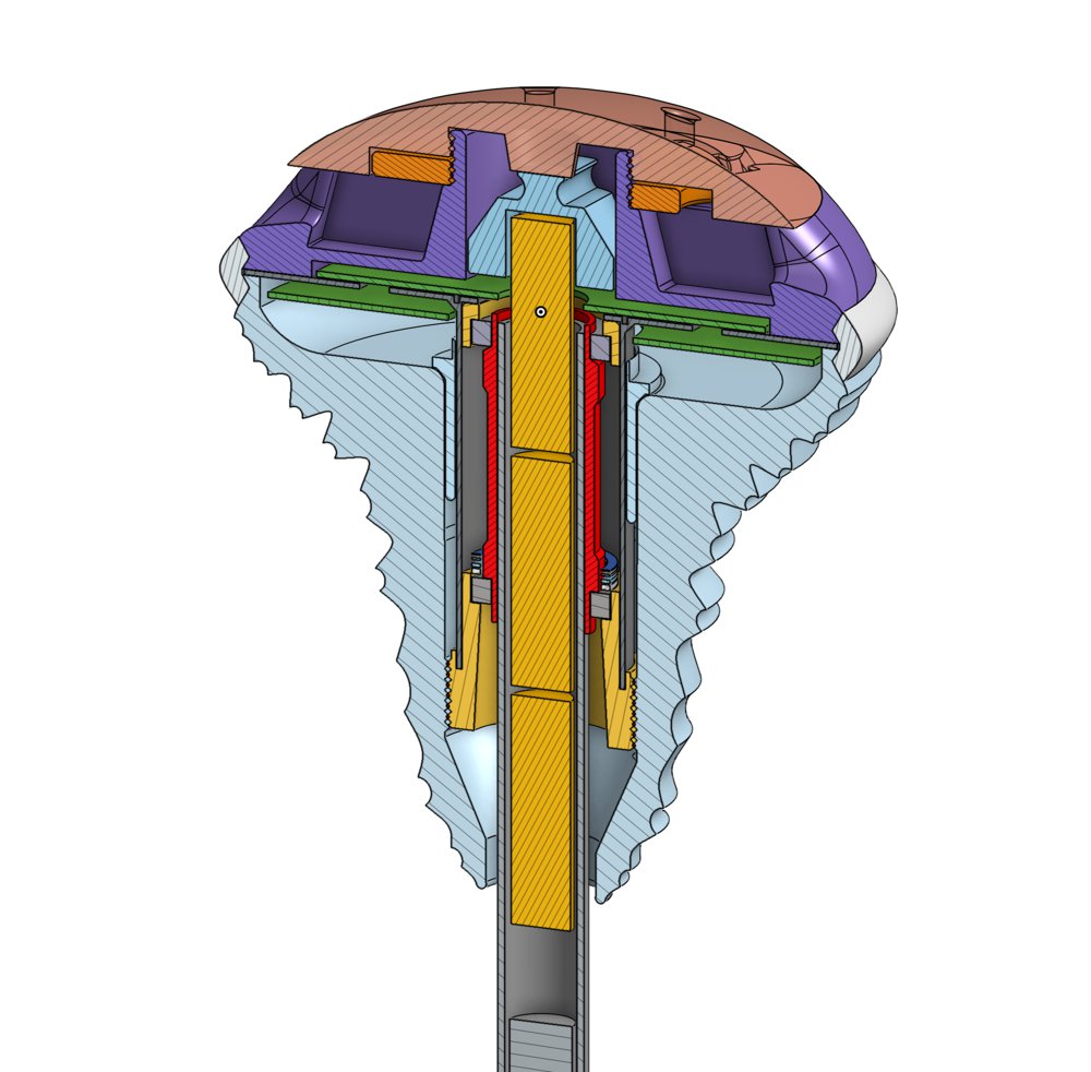 The Dancing Forest image