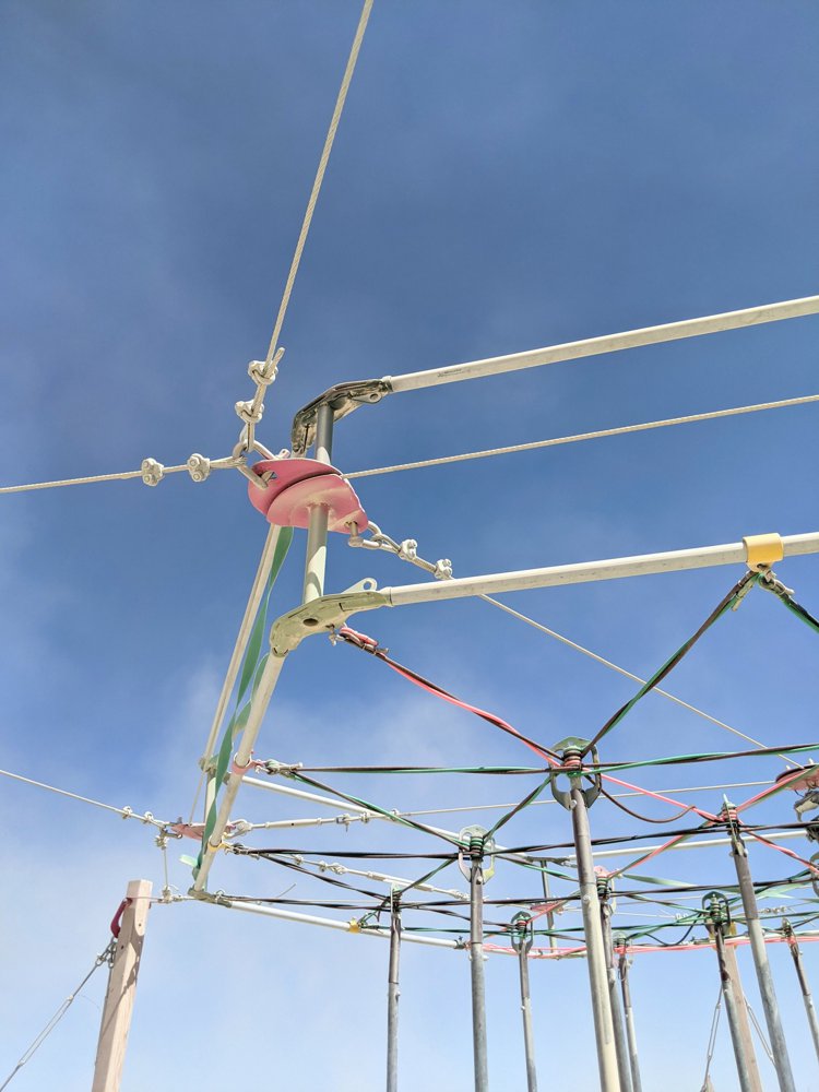 The Dancing Forest image