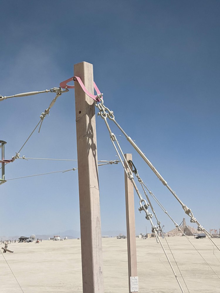 The Dancing Forest image