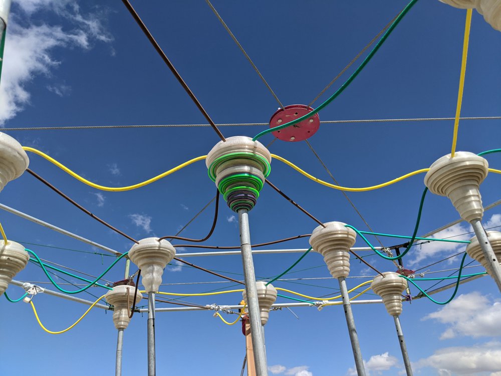 The Dancing Forest image