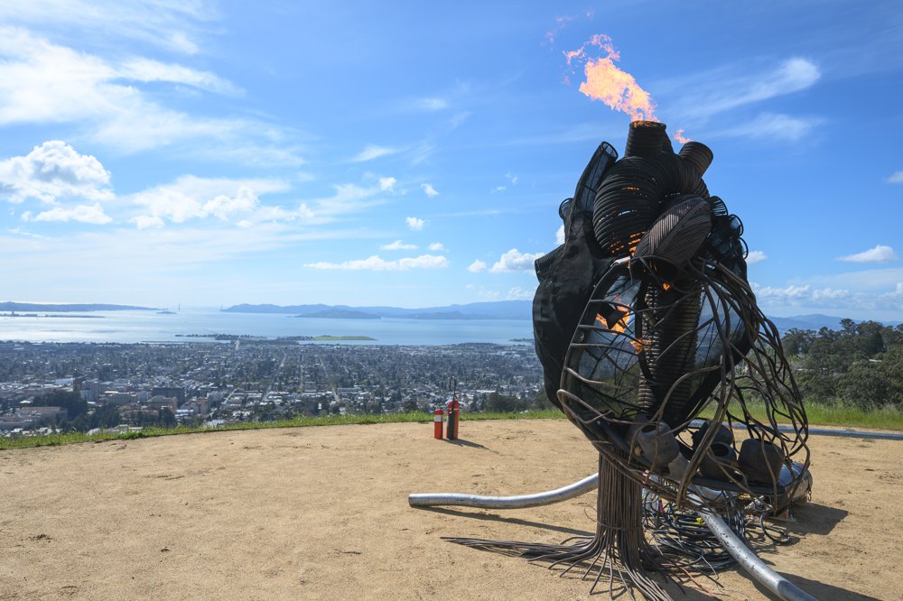 Large-scale Installations with the Flaming Lotus Girls image