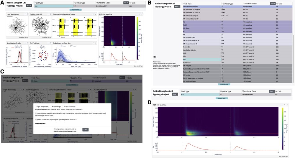 Classification of the Mouse Retinal Ganglion Cells image